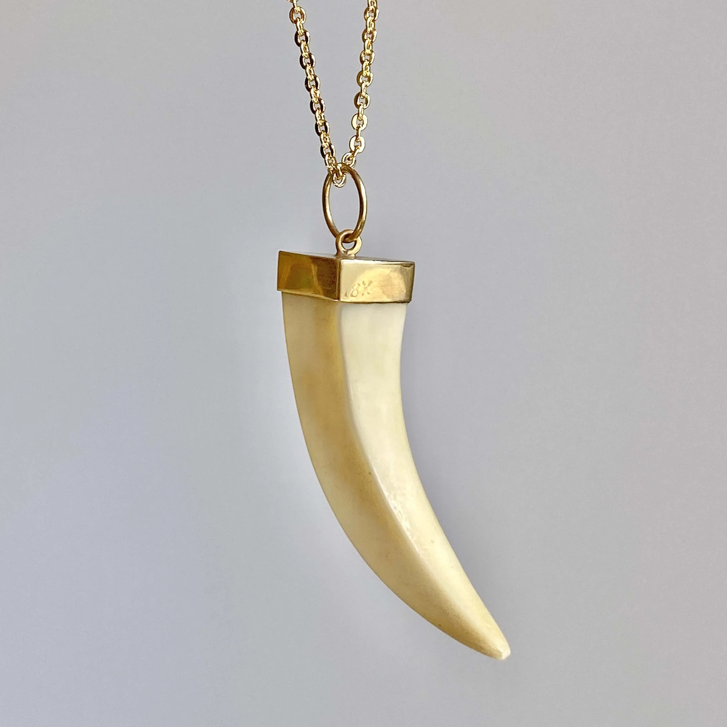 Antique 18K Gold Boars Tusk Pendant Necklace