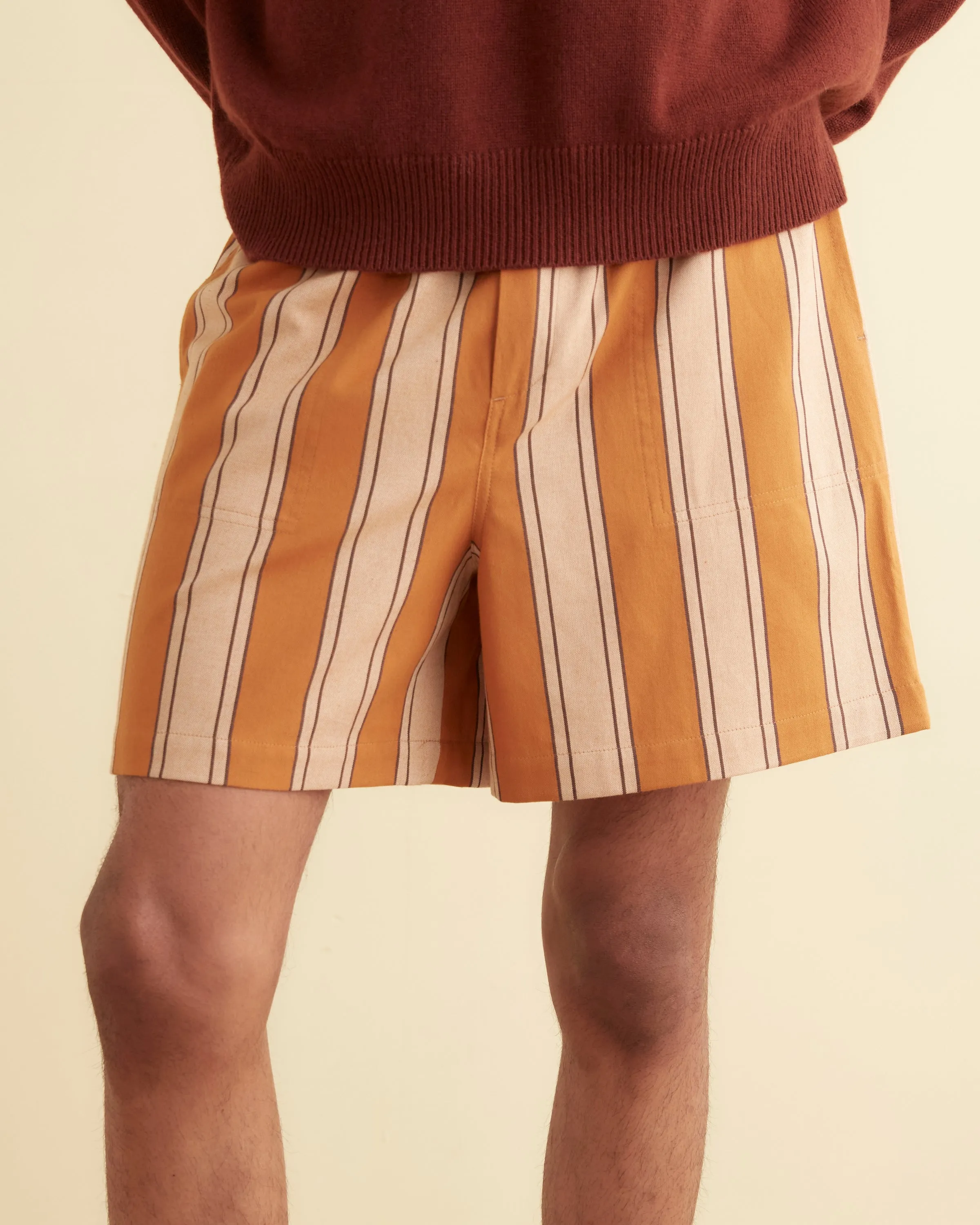 Awning Stripe Shorts