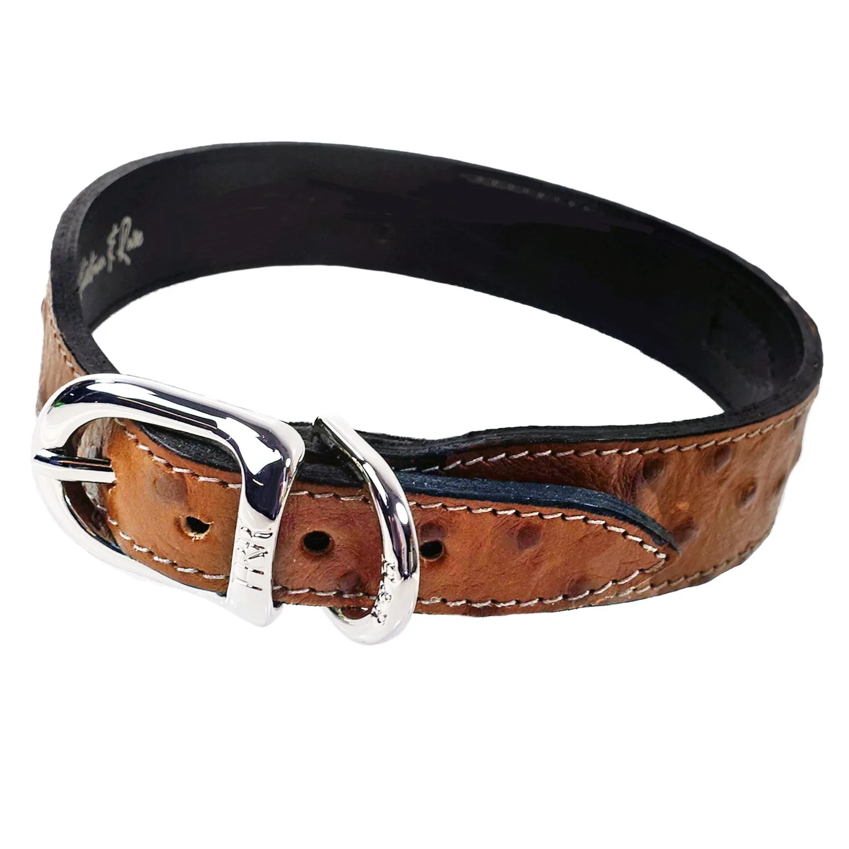 Belmont Dog Collar in Ostrich & Nickel