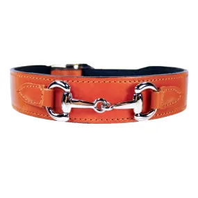 Belmont Dog Collar in Tangerine & Nickel