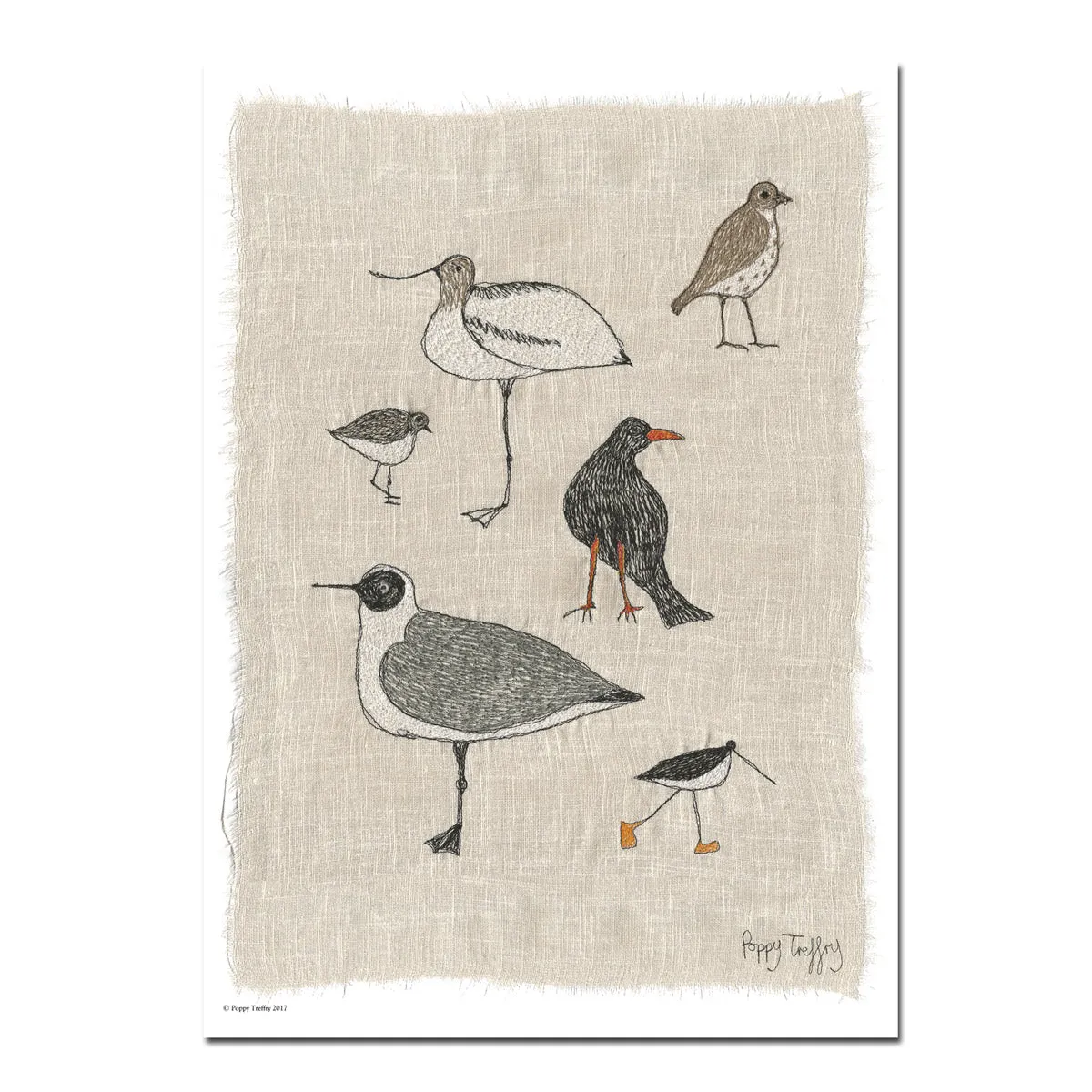 Cornish birds - A3 print