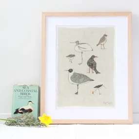 Cornish birds - A3 print