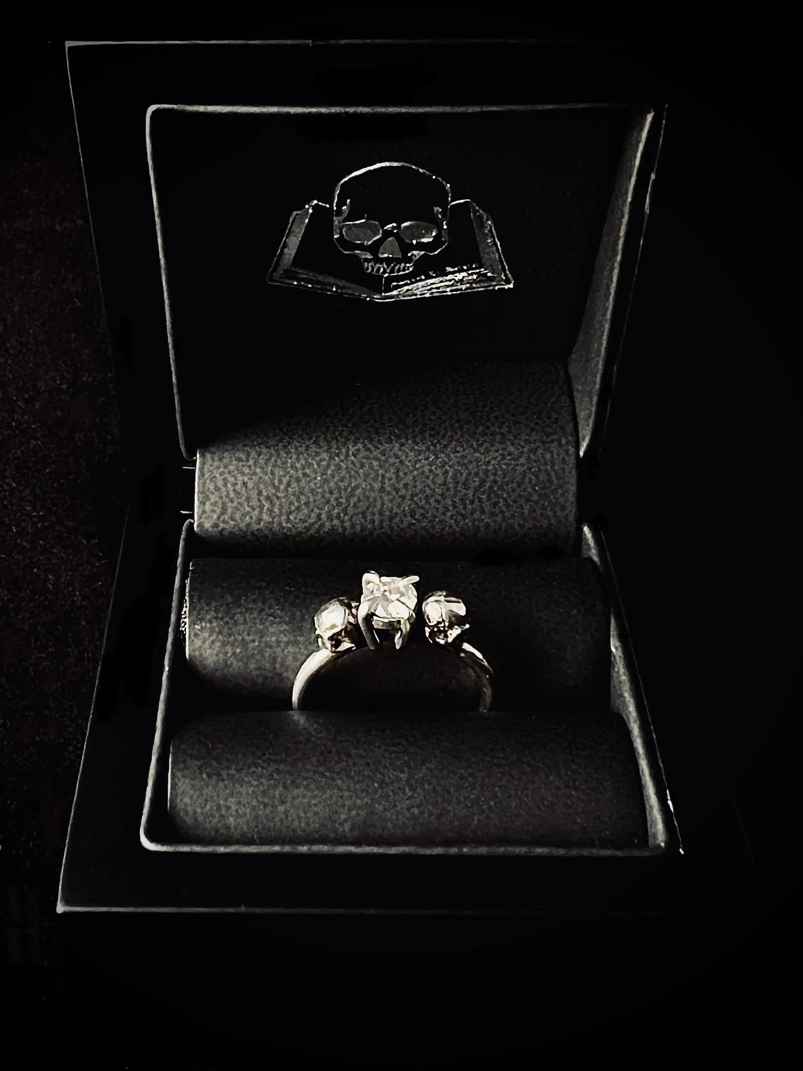 Diamond Guardian Engagement Ring