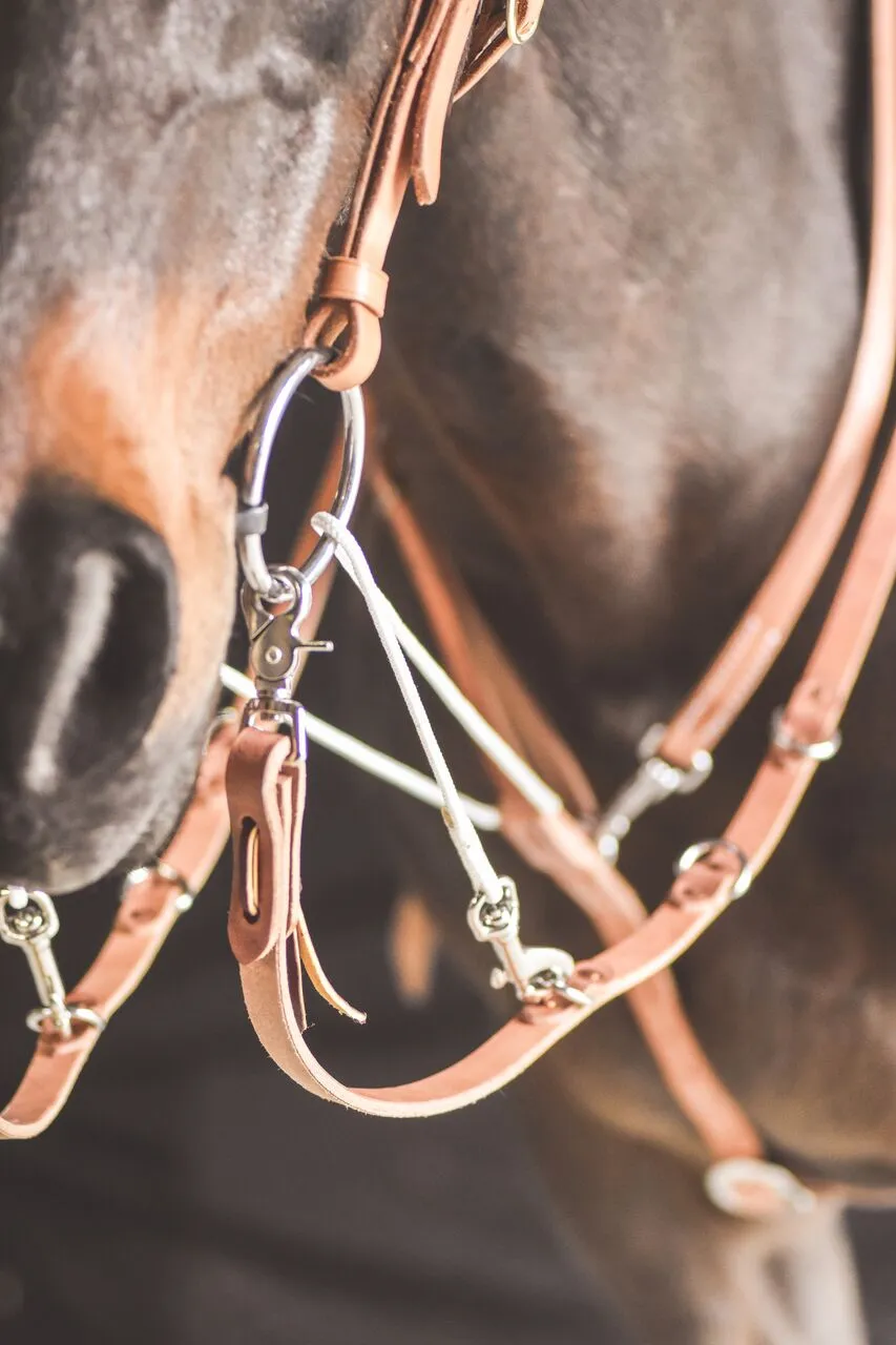 Drovers Saddlery Made German Martingale