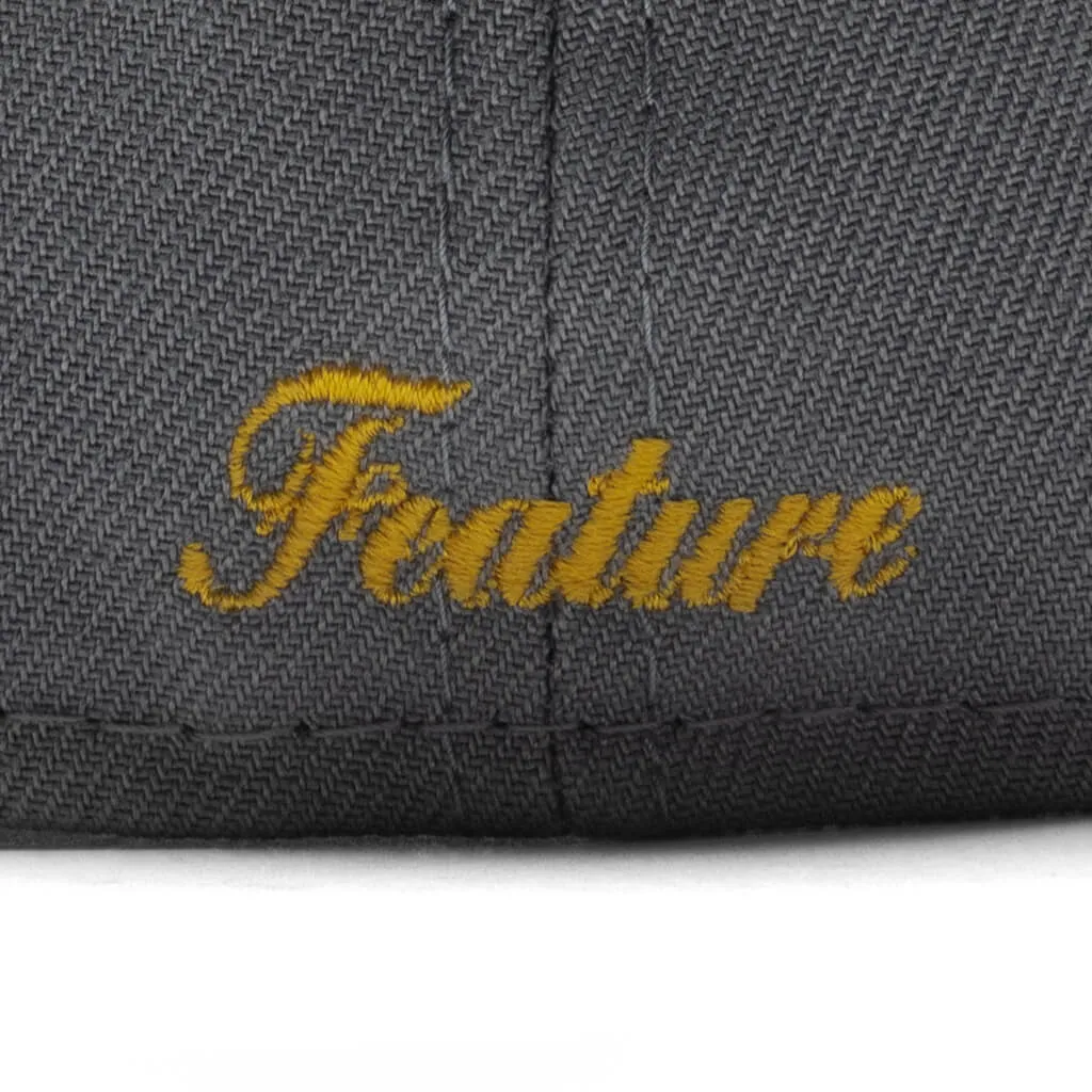 Feature x New Era Fossils Everywhere 59FIFTY Fitted - Gray/Brown