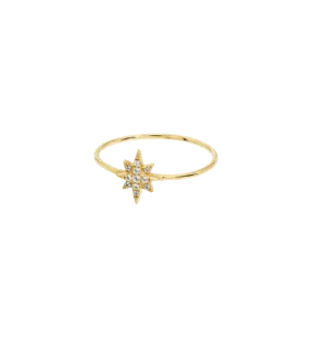 Heavenly Body Ring 14K