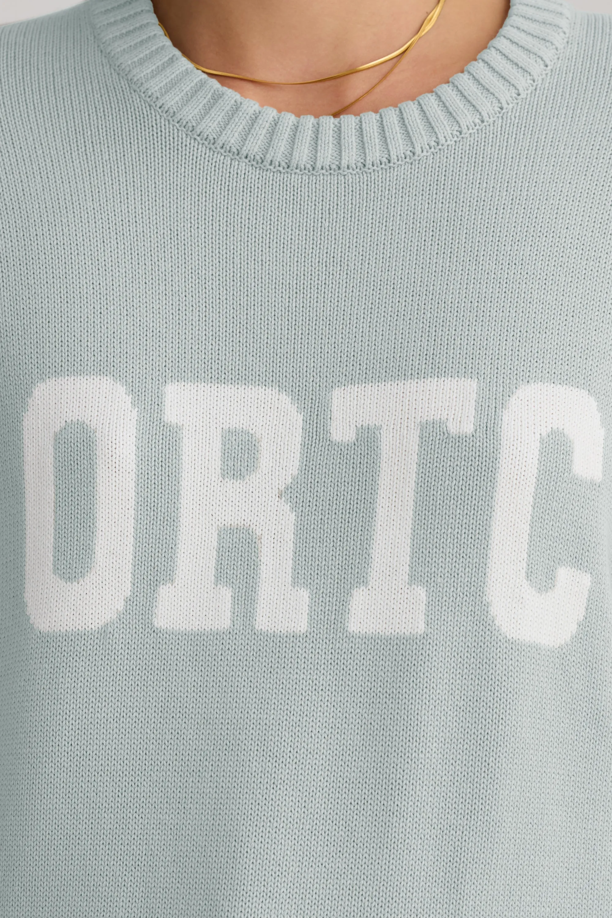 Original Logo Knit Crew Sage