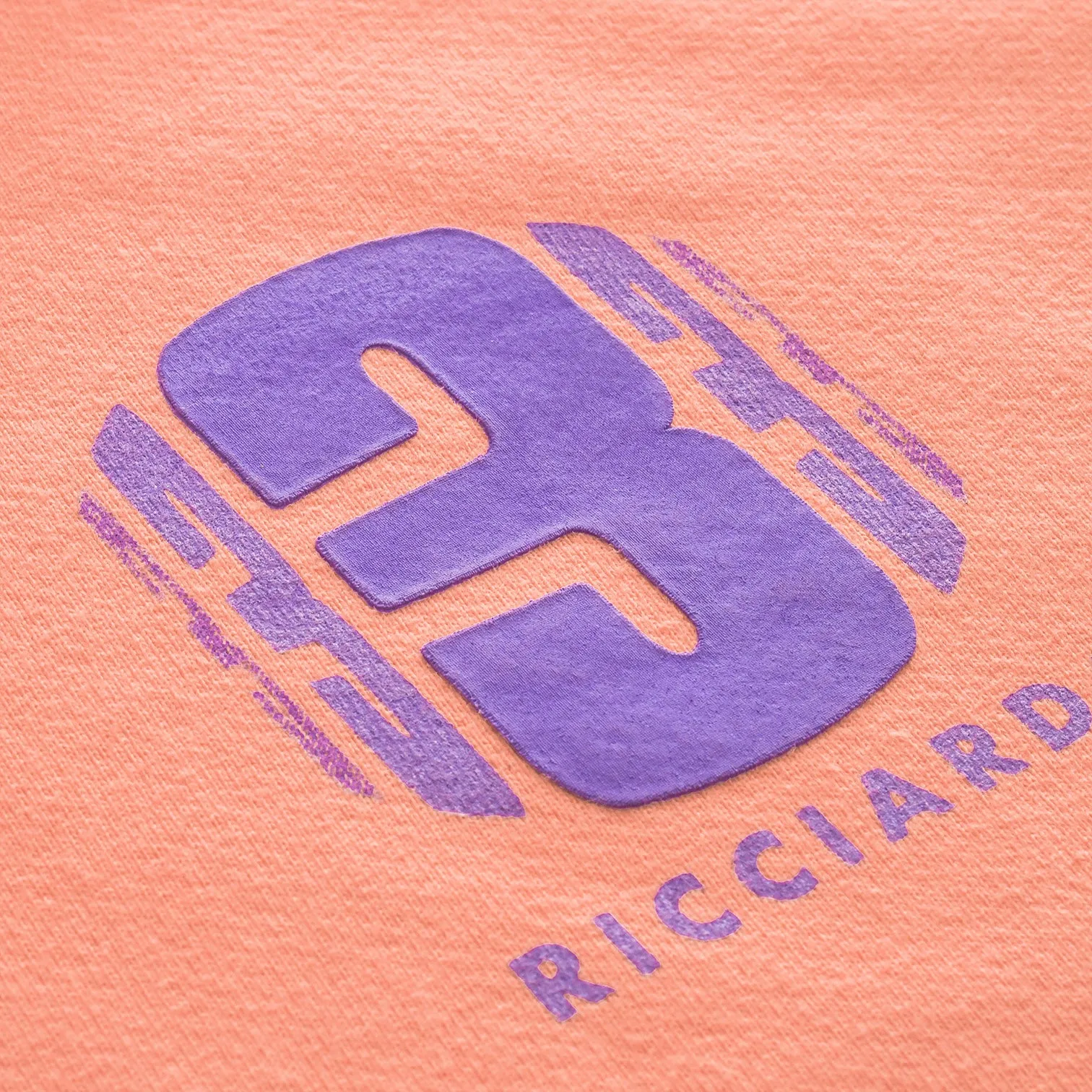 RIC3 Present Momentum Peach Hoodie