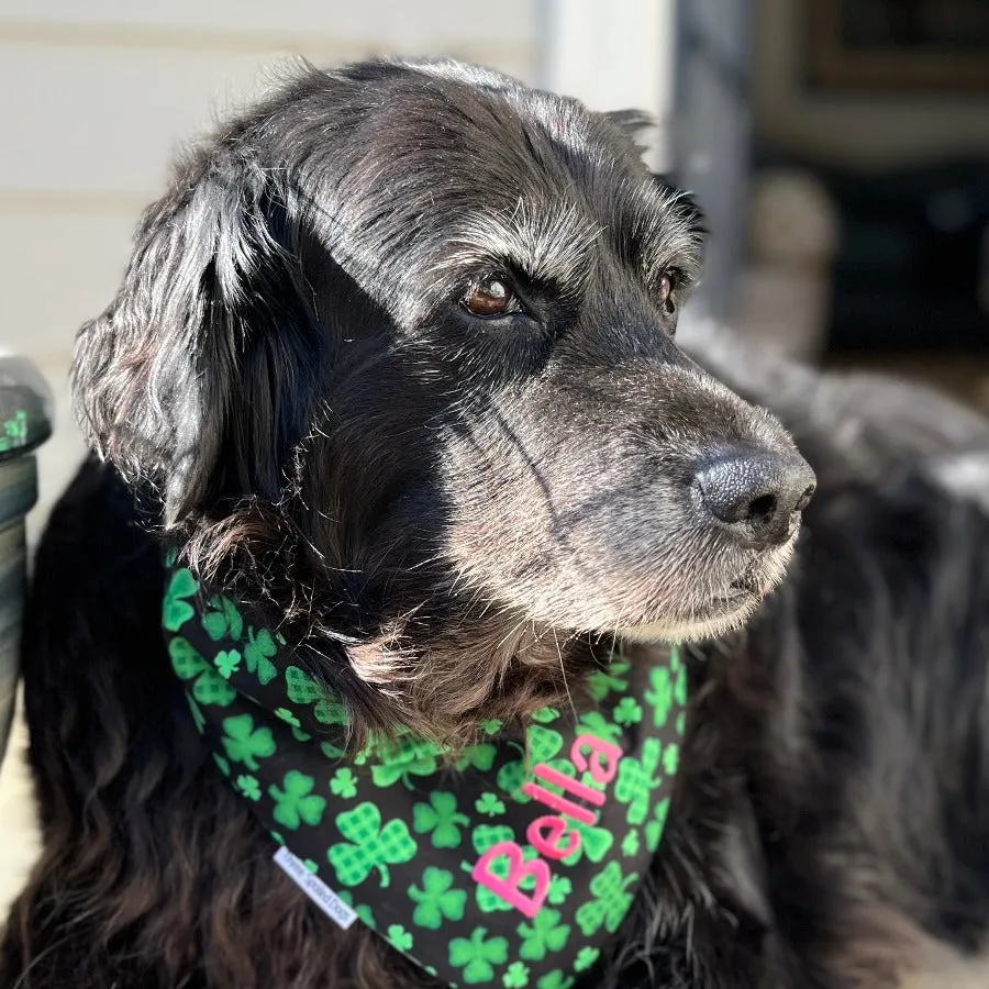 Saint Patrick's Day Embroidered Dog Bandanas with Name