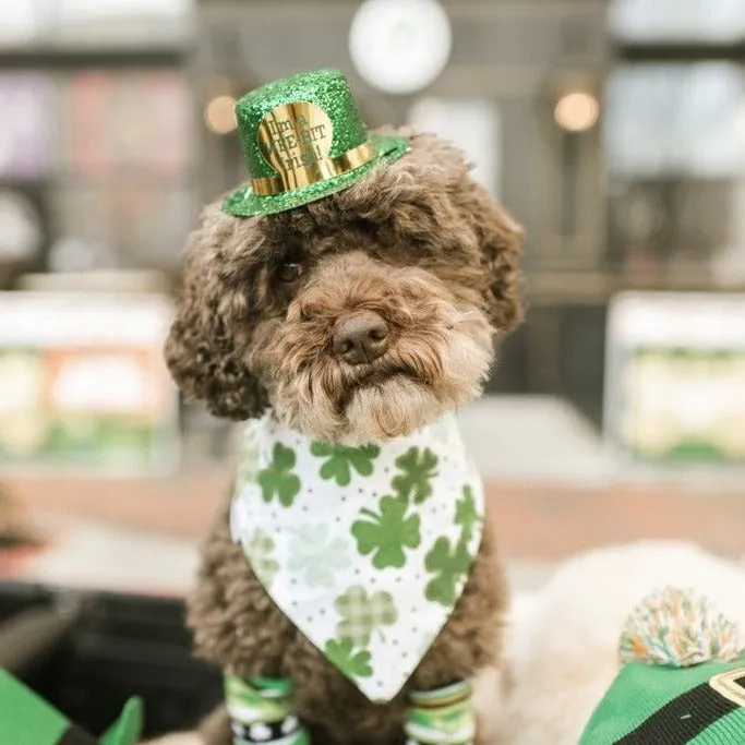 Saint Patrick's Day Embroidered Dog Bandanas with Name