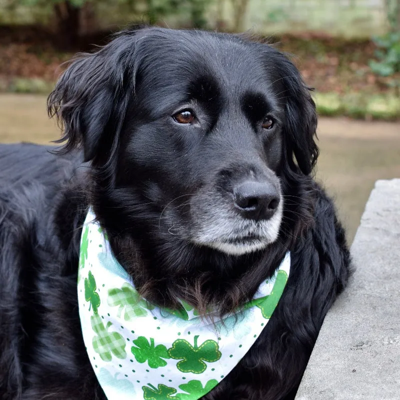 Saint Patrick's Day Embroidered Dog Bandanas with Name