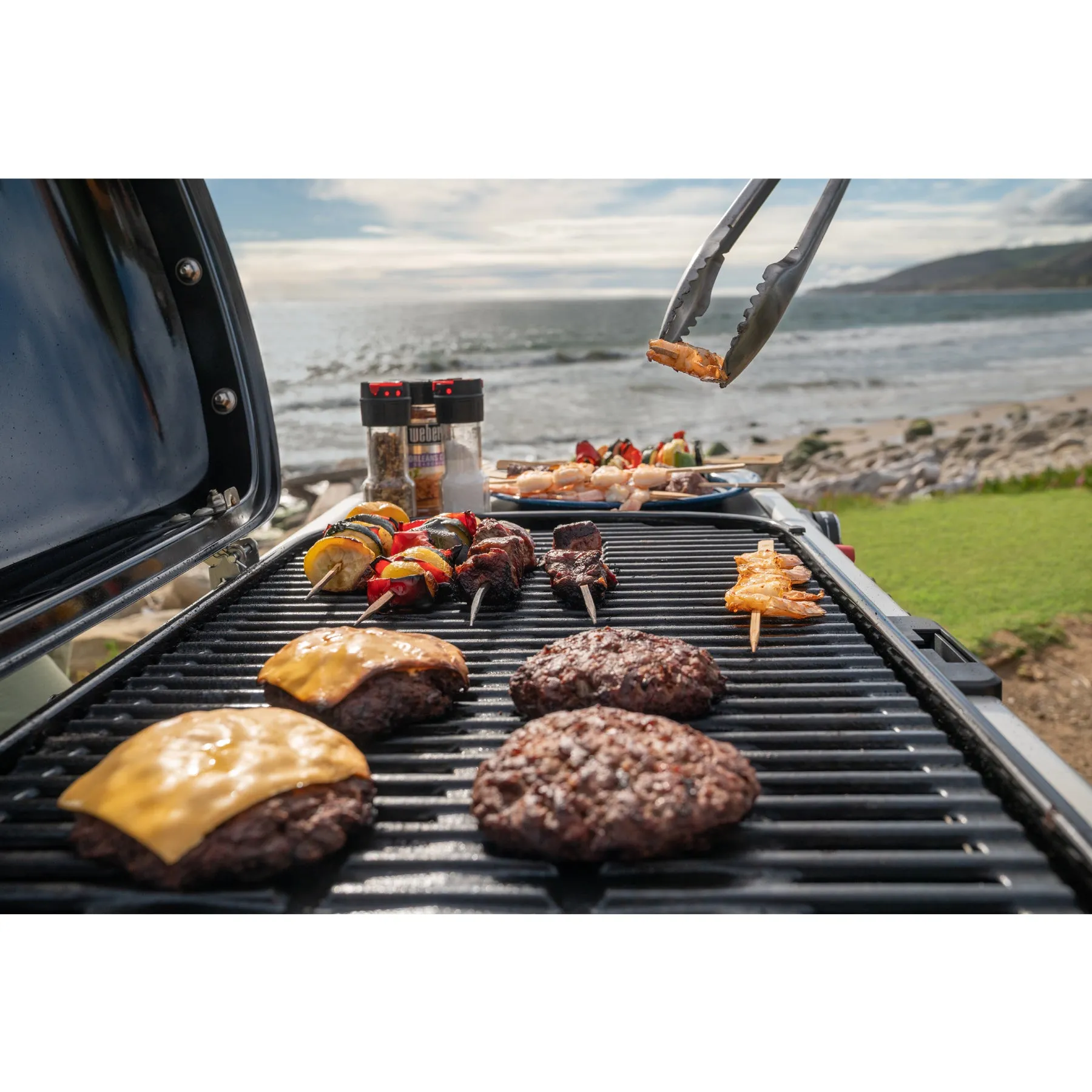 Weber Traveler Portable Gas Barbecue